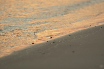 sand shore