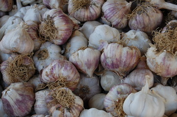 Knoblauch