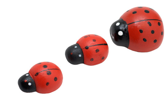 Toy Ladybirds Line-up