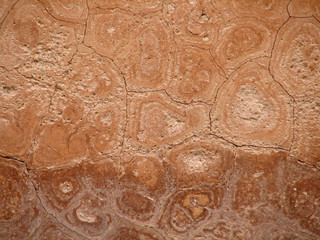 Feuchte halbschimmlige Wand