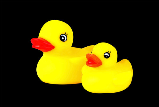 two yellow plastic ducks