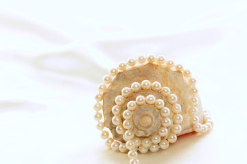 large conch with pearls 4