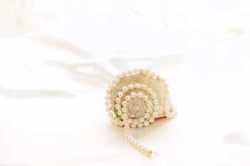 large conch with pearls 5