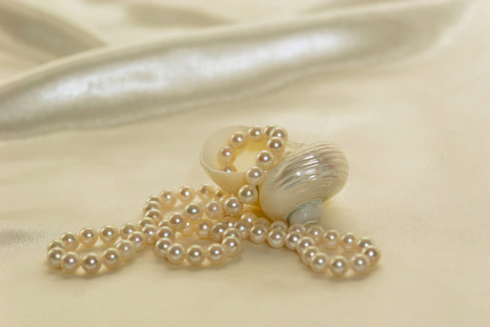pearls and shells
