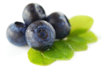 Blueberries