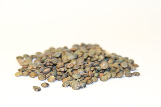 Lentilles