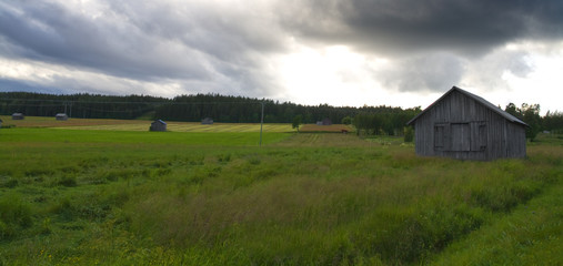 Northern farming scenery