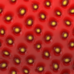 Illustration of berry skin