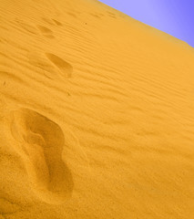 Footprints leading into the distance
