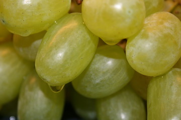 weintrauben
