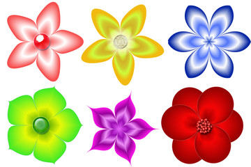 colorful flowers isolated