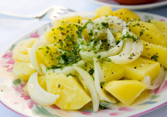 vegetarian potato salad