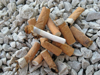 cigarette butts