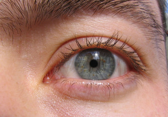 eye