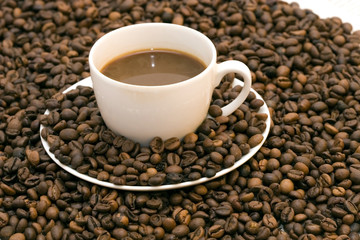 Fototapeta premium Coffee