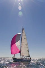 Sailing In The Evening Sun
