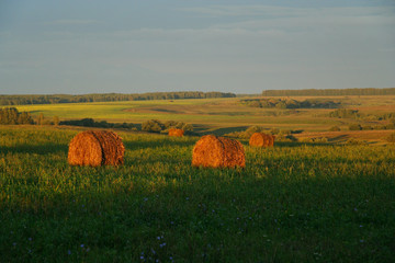 Fields and hayrolls at dusk