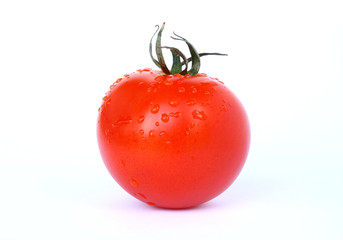 wet tomato