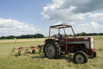 Obraz premium turn around the hay