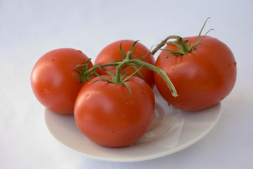 tomatoes