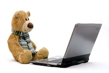 LAPTOP COMPUTER and Teddy bear