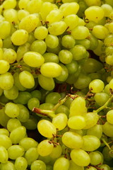 White grapes