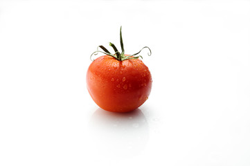 Tomate