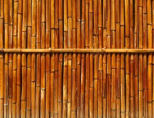 Bamboo Fence