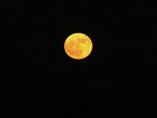 Vollmond © Helmut Nowarra