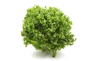 lettuce - lollo bindo