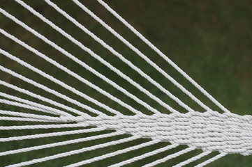 White ropes uniting in a woven meshwork