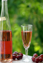 Rosé Wine of the alentejo region