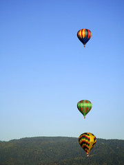 Obraz premium Hot Air Balloons