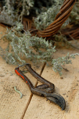 au jardin