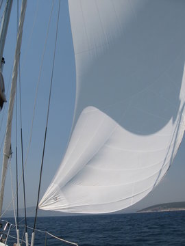 Spinaker