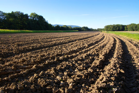 field with tillage diminishing to horizont