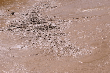 torrent de boue