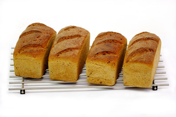 Brot