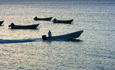 Fototapeta premium Fischer