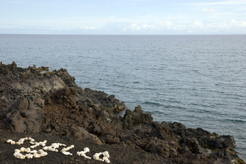 Fototapeta na wymiar Hawaii Volcanic Coast of Kona Island