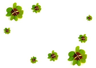 Glücksklee © Christian Jung