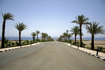 Fototapeta na wymiar pustynnych drogach w regionie Morza Czerwonego, Synaj, Egipt