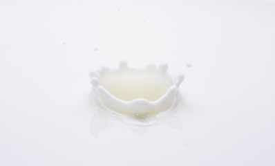 milk drop
