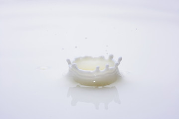 Milk drop