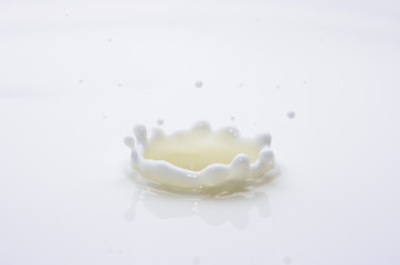 milk drop