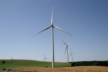 Fototapeta premium éolienne08