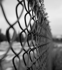 metal fence