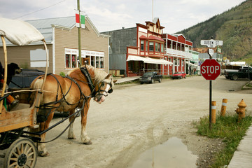 Horse buggy in Dawson City, Yukon, Canada - obrazy, fototapety, plakaty