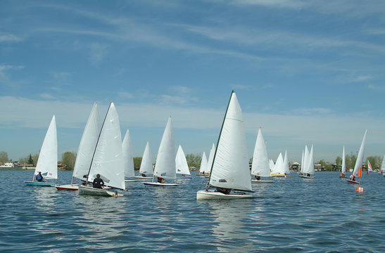 Sailboat regatta