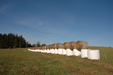 Field